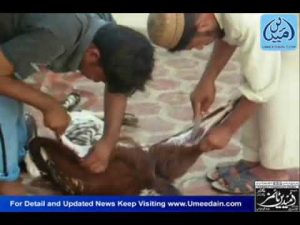 Bahawalpur News 27 Oct 2012