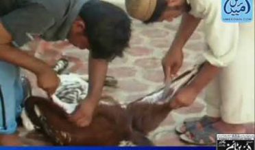 Bahawalpur News 27 Oct 2012