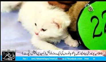 Pets Show in Islamia University Bahawalpur