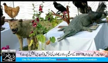 Jashn e Baharan Bahawalpur 2018