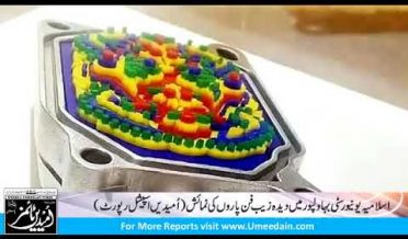 Fine Arts Exhibition in The Islamia University Bahawalpur