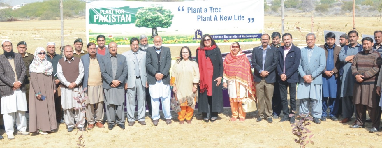 اسلامیہ یونیورسٹی بہاول پور میں شجر کاری مہم کے سلسلے میں 1500پودے لگائے گئے