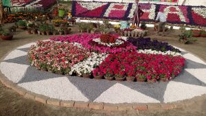 بہاول پورمیں بہاراپنے جلوے دکھانے لگی ملک بھرکے موسم میں تبدیلی آنے لگی