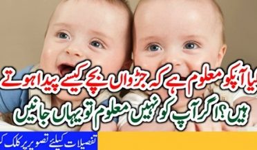 کیا آپکو معلوم ہے کہ جڑواں بچے کیسے پیدا ہوتے ہیں؟